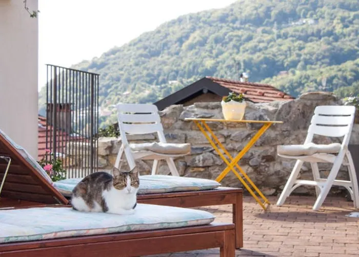 Vista Tatil Evi *
